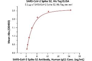 Immobilized SARS-CoV-2 S2 protein, His Tag (ABIN6952626,ABIN6952649) at 1 μg/mL (100 μL/well) can bind SARS-CoV-2 Spike S2 Antibody, Human IgG1 with a linear range of 0.