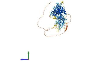 AlphaFold protein structure predicition of Human Recombinant THEMIS2 Protein, UniprotID Q5TEJ8