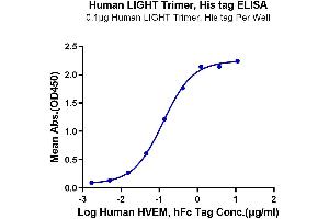 Immobilized Human LIGHT Trimer, His tag at 1 μg/mL (100 μL/well) on the plate. (TNFSF14 Protein (Trimer) (His-DYKDDDDK Tag))