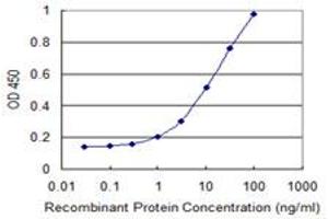 Detection limit for recombinant GST tagged CLN3 is 0. (CLN3 antibody  (AA 1-438))