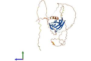 AlphaFold protein structure predicition of Human Recombinant STBD1 Protein, UniprotID O95210