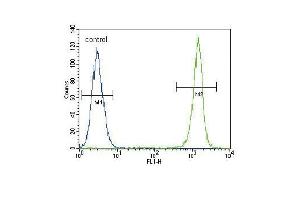 ACTA1 Antibody (ABIN1536597 and ABIN2843809) flow cytometric analysis of A549 cells (right histogram) compared to a negative control cell (left histogram). (Actin antibody)
