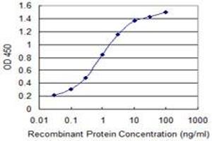 Detection limit for recombinant GST tagged IGKC is 0. (IGKC antibody  (AA 1-236))