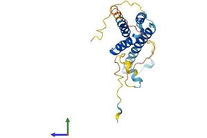 AlphaFold protein structure predicition of Human Recombinant RD3L Protein, UniprotID P0DJH9 (RD3L Protein (AA 1-198) (His tag))