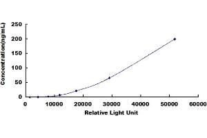 ELISA image for Fibronectin CLIA Kit (ABIN491751) (Fibronectin CLIA Kit)