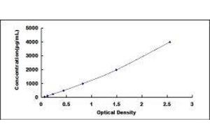 Complement Component (3d/Epstein Barr Virus) Receptor 2 (CR2) ELISA Kit