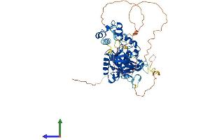 AlphaFold protein structure predicition of Human Recombinant UBP1 Protein, UniprotID Q9NZI7 (UBP1 Protein (AA 1-540) (His tag))