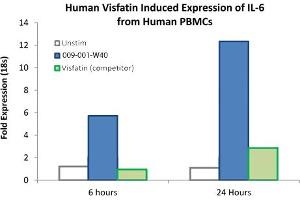 SDS-PAGE of Human Visfatin Recombinant Protein Bioactivity of Human Visfatin Recombinant Protein.