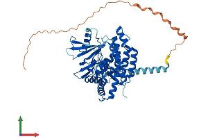 Protein Structure (PS) image for Ethanolamine Kinase 1 (ETNK1) (AA 1-452) protein (His tag) (ABIN7547311)