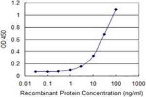 Detection limit for recombinant GST tagged MAZ is 0. (MAZ antibody  (AA 1-264))