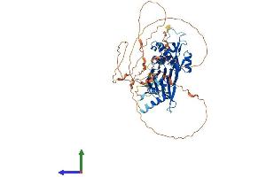 AlphaFold protein structure predicition of Human Recombinant PPM1D Protein, UniprotID O15297 (PPM1D Protein (AA 1-605) (His tag))