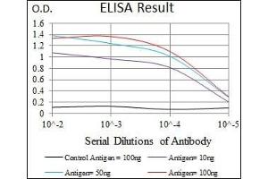 Black line: Control Antigen (100 ng), Purple line: Antigen(10 ng), Blue line: Antigen (50 ng), Red line: Antigen (100 ng), (Cyclin E1 antibody  (AA 307-410))