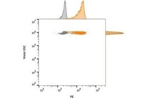 Flow cytometric analysis of bead-bound exosomes derived from MCF-7 cells. (CD63 antibody)