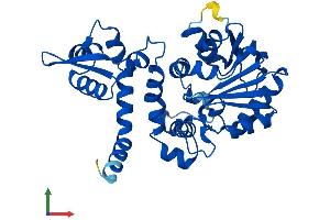 AlphaFold protein structure predicition of Human Recombinant ASMT Protein, UniprotID P46597