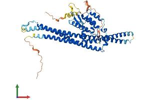 AlphaFold protein structure predicition of Mouse Recombinant Snx8 Protein, UniprotID Q8CFD4 (SNX8 Protein (AA 1-459) (His tag))