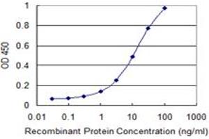 Detection limit for recombinant GST tagged ITGA7 is 0. (ITGA7 antibody  (AA 478-577))