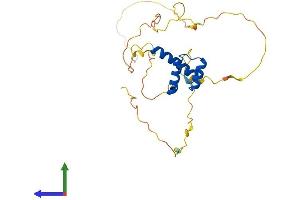 AlphaFold protein structure predicition of Human Recombinant GSX1 Protein, UniprotID Q9H4S2 (GSX1/GSH1 Protein (AA 1-264) (His tag))
