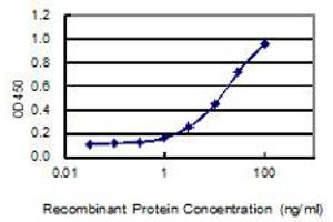Detection limit for recombinant GST tagged XAGE1D is 0. (XAGE1D antibody  (AA 1-69))