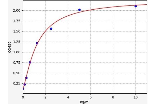 ALOX15 ELISA Kit