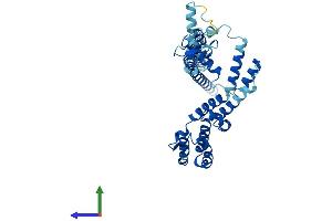 Protein Structure (PS) image for Required For Meiotic Nuclear Division 5 Homolog A (RMND5A) (AA 1-391) protein (His tag) (ABIN7551480)