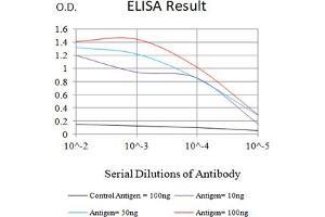 Black line: Control Antigen (100 ng),Purple line: Antigen (10 ng), Blue line: Antigen (50 ng), Red line:Antigen (100 ng) (FGF2 antibody  (AA 189-288))