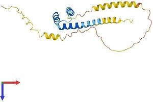 AlphaFold protein structure predicition of Human Recombinant NANOGNB Protein, UniprotID Q7Z5D8 (NANOGNB Protein (AA 1-188) (His tag))