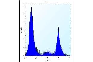 CYP20A1 Antibody (Center) (ABIN656565 and ABIN2845825) flow cytometric analysis of 293 cells (right histogram) compared to a negative control cell (left histogram). (CYP20A1 antibody  (AA 221-250))