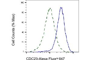 Validation of CDC23 knockdown using flow cytometry. (Recombinant CDC23 antibody)