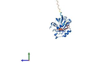 AlphaFold protein structure predicition of Human Recombinant RAB6B Protein, UniprotID Q9NRW1 (RAB6B Protein (AA 1-208) (His tag))