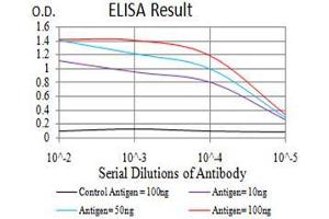 Black line: Control Antigen (100 ng),Purple line: Antigen (10 ng), Blue line: Antigen (50 ng), Red line:Antigen (100 ng) (RNLS antibody  (AA 68-242))