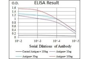 ELISA image for anti-CCAAT/enhancer Binding Protein (C/EBP), alpha (CEBPA) antibody (ABIN1106664) (CEBPA antibody)