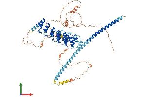 AlphaFold protein structure predicition of Human Recombinant POTED Protein, UniprotID Q86YR6 (POTED Protein (AA 1-584) (His tag))
