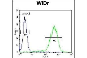 CHCHD2 Antibody (Center) (ABIN654013 and ABIN2843939) flow cytometric analysis of WiDr cells (right histogram) compared to a negative control cell (left histogram). (CHCHD2 antibody  (AA 74-103))