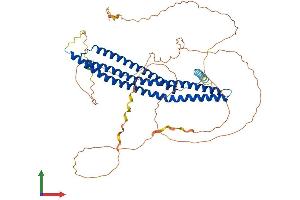 AlphaFold protein structure predicition of Human Recombinant BIN2 Protein, UniprotID Q9UBW5