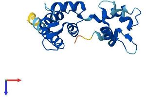 EF-Hand Calcium Binding Domain 2 (EFCAB2) (AA 1-164) protein (His tag)