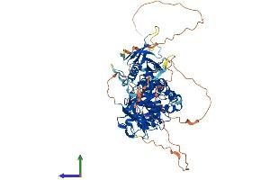 AlphaFold protein structure predicition of Human Recombinant SPHK2 Protein, UniprotID Q9NRA0 (SPHK2 Protein (AA 1-654) (His tag))