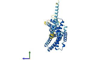 AlphaFold protein structure predicition of Mouse Recombinant Gpr65 Protein, UniprotID Q61038