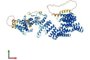 AlphaFold protein structure predicition of Mouse Recombinant Ttc7a Protein, UniprotID Q8BGB2
