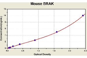 Diagramm of the ELISA kit to detect Mouse BRAKwith the optical density on the x-axis and the concentration on the y-axis.