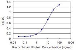 Detection limit for recombinant GST tagged VAC14 is 0. (VAC14 antibody  (AA 714-782))