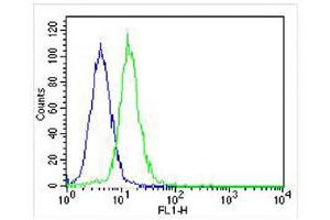 Overlay histogram showing Hela cells stained with (ABIN655391 and ABIN2844939) (green line). (KDM4C antibody  (C-Term))