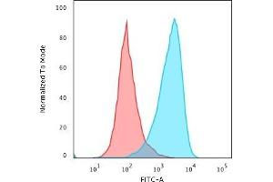 Flow Cytometric Analysis of paraformaldehyde-fixed Raji cells using CD45RB Rabbit Recombinant Monoclonal Antibody (PTPRC/2877R) followed by Goat anti-rabbitIgG-CF488 (Blue); Isotype Control (Red).