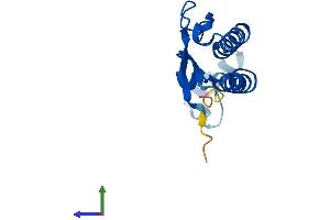 AlphaFold protein structure predicition of Mouse Recombinant Golga7 Protein, UniprotID Q91W53