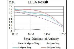 Black line: Control Antigen (100 ng), Purple line: Antigen(10 ng), Blue line: Antigen (50 ng), Red line: Antigen (100 ng), (C17orf53 antibody  (AA 282-527))