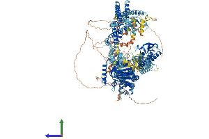 AlphaFold protein structure predicition of Mouse Recombinant Kdm5c Protein, UniprotID P41230 (KDM5C Protein (AA 1-1554) (His tag))