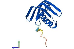 Protein Structure (PS) image for General Transcription Factor IIA, 2, 12kDa (GTF2A2) (AA 1-109) protein (His tag) (ABIN7544131)
