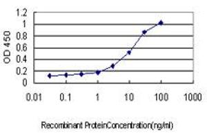 Detection limit for recombinant GST tagged NLK is approximately 0. (Nemo-Like Kinase antibody  (AA 416-515))
