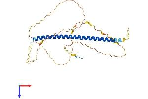 AlphaFold protein structure predicition of Mouse Recombinant Batf2 Protein, UniprotID Q8R1H8 (BATF2 Protein (AA 1-277) (His tag))