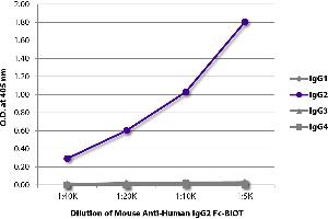 ELISA plate was coated with purified human IgG1, IgG2, IgG3, and IgG4. (Mouse anti-Human IgG2 (Fc Region) Antibody (Biotin))