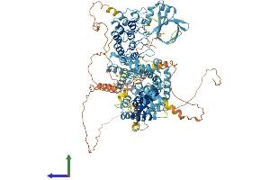 AlphaFold protein structure predicition of Human Recombinant ANKRD27 Protein, UniprotID Q96NW4
